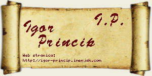 Igor Princip vizit kartica